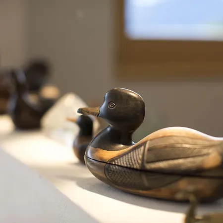 Bergoase ハスリベルク